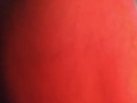 LoGanDiamond 网络视讯表演