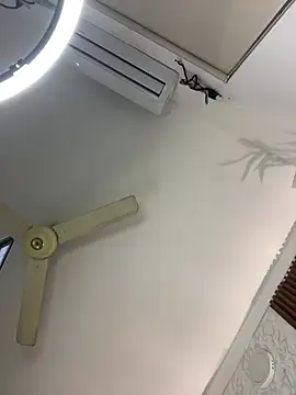 Show Webcam de AyaBunny