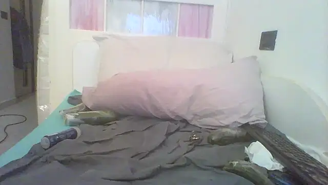 bdsmpain 웹캠 쇼