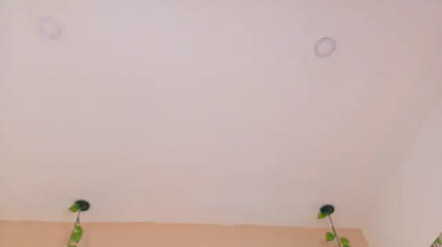 Ixxus_Raven Live XXX Chat
