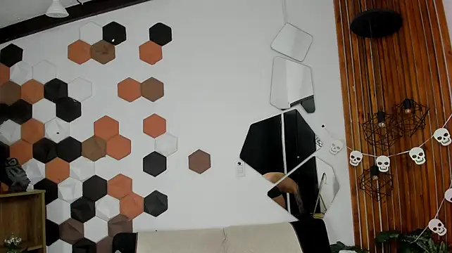 Axton_Wildn Webbikameraesitys