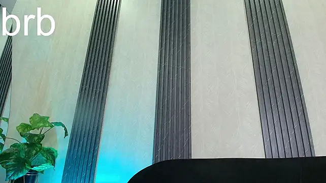 הופעת וובקאם של Petesevans
