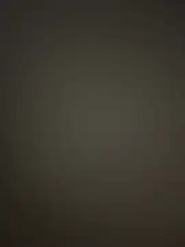 Owned_drone Webcam show