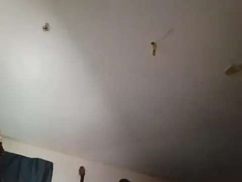 Show webcam de PharoahMoans4U