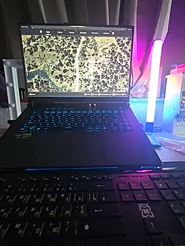 Živý XXX chat LiyaKasper