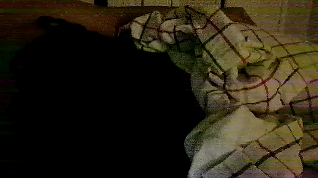 Chat XXX en directo de Toofat4you