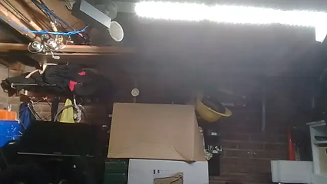 pietjebellxxn Live XXX chat