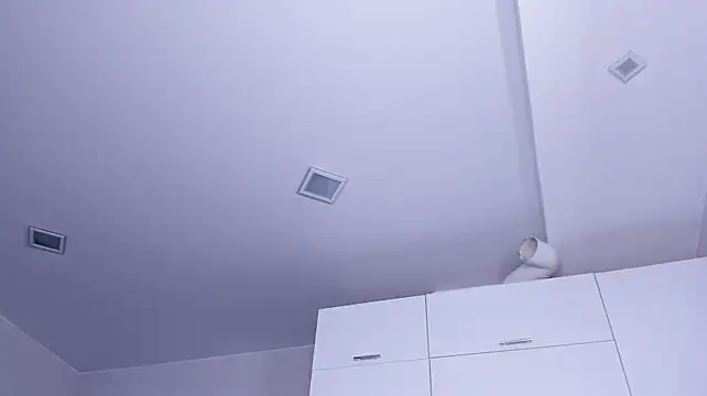 Layla_LotusのライブXXXチャット
