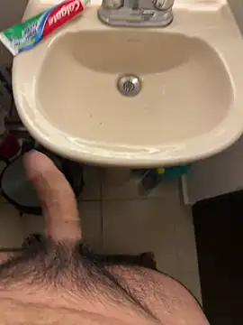 הופעת וובקאם של osga11