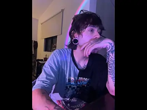 pure_visio – webcam-show