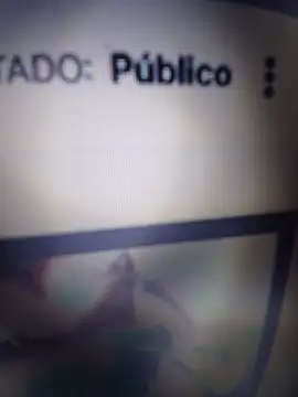 Sumipirsitosn Webbikameraesitys