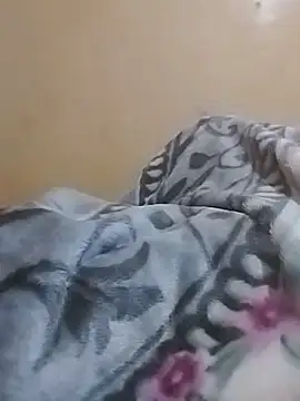 Chat +18 de ovar12 ao vivo