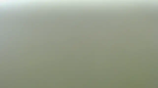 Asher_athlets' Live XXX Chat