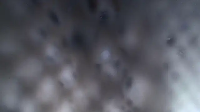 צ'אט XXX בשידור חי של cts82190@xh