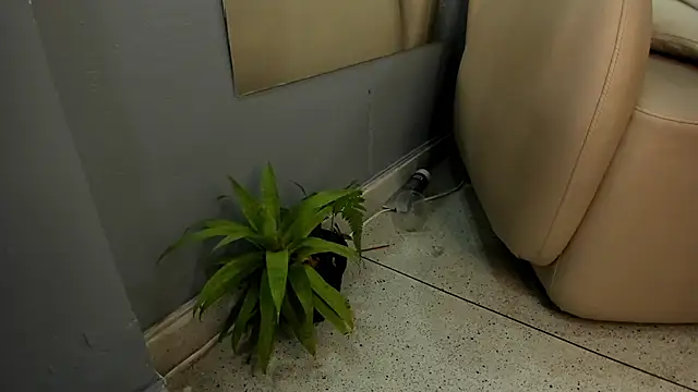 Živý XXX chat Evains_777