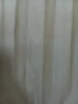 AishaBashilah Live XXX-Chat