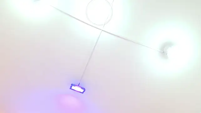 ScarletMilf_1 现场XXX聊天