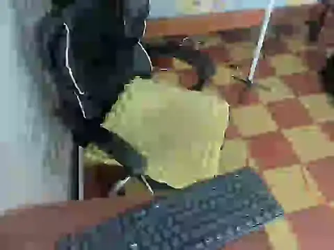 marek_sanchezn Live XXX chat