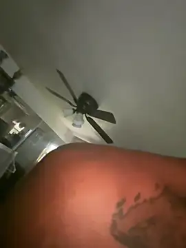 Show webcam de BigDickBrisn