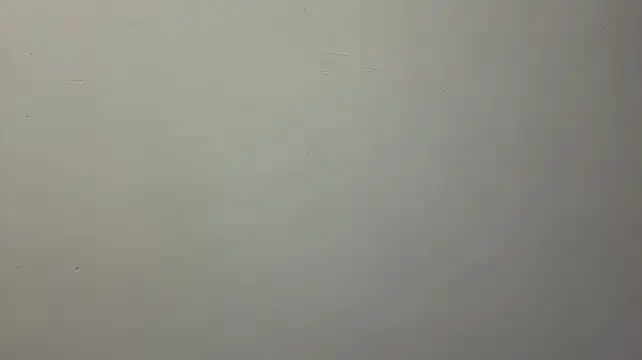 RolandeRohrs Obrolan Langsung XXX