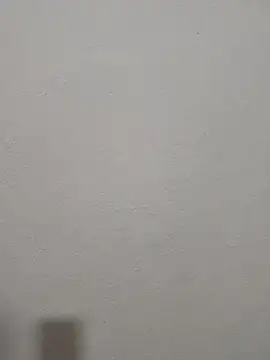 Show de webcam de bennylogin290