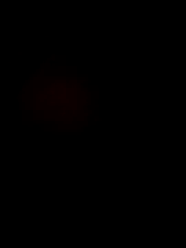Mppipo Webcamshow