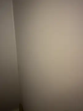 dvoi 웹캠 쇼