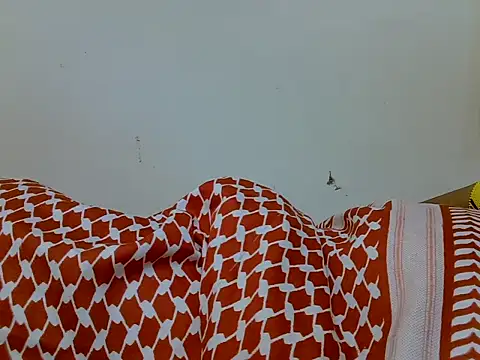 Swt_vixen Adlı Modelin Canlı XXX Sohbeti