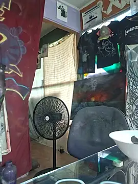 Show Webcam de Toycockhot