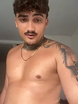 Show modela picasso_25CM na web-kameri