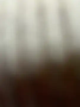 elsawhere's Live XXX Chat