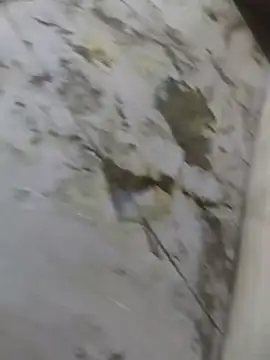 TootedFreezing Live XXX-chat