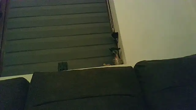 Qnitca Live XXX-chat