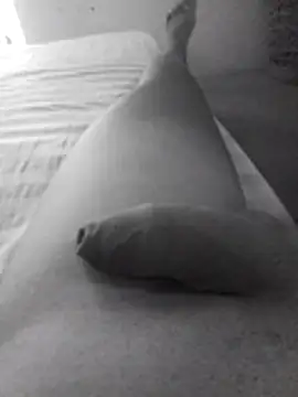 joaoa21cm – webcam-show