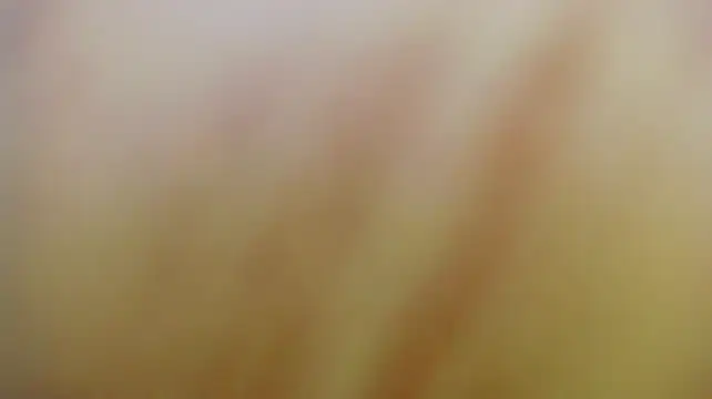 Asher_athlets Chat XXX live