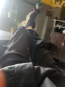 Chat XXX ao vivo de Juliano69xv