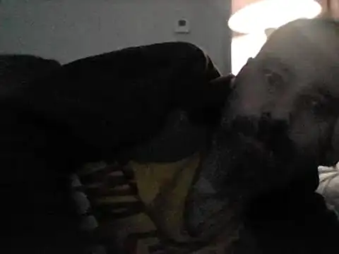 crazyheratic8 Шоу с уебкамера