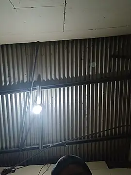 Show de webcam de Sumipirsitos