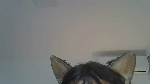Chat XXX ao vivo de SkinnyKitten