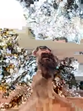 צ'אט XXX בשידור חי של Hungwell1515