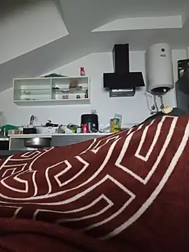 vicenmesa Webcamshow