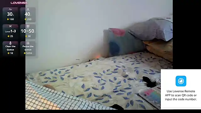 dogminigg Show Webcam