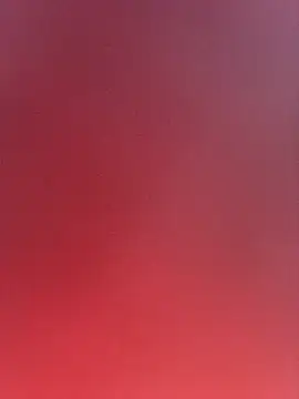 indikasu webcam show