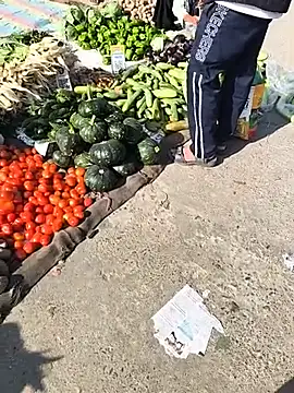 הופעת וובקאם של andy_craft1