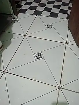Pertunjukan Kamera Web Aleh_973
