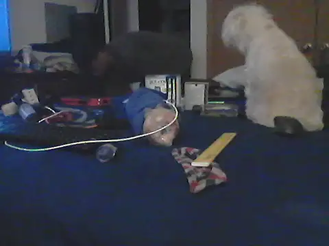 Silencio26 Show Webcam