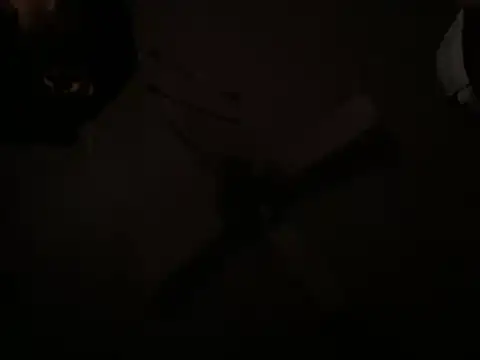 gonzvles élő XXX-chatje