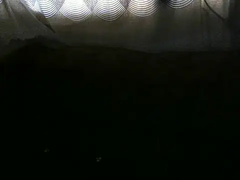 Ebonybb Live XXX-Chat
