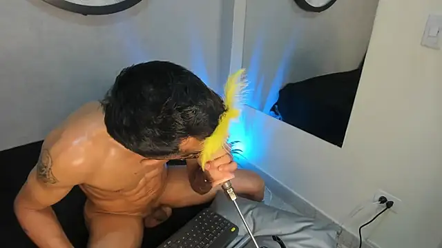 Chat +18 de Evains_777 ao vivo