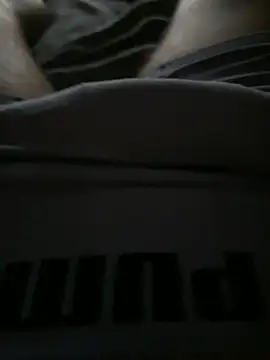Lorenzo_Hott Webcam-Show